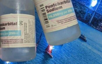 BUY NEMBUTAL ONLINE ,BUY PENTOBARBITAL SODIUM, BUY
