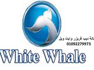 رقم صيانة وايت ويل زفتي 01223179993