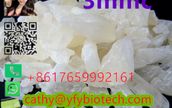 200 meters north of 50 meters north of the Malaysi