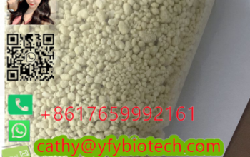 200 meters north of 50 meters north of the Malaysi