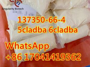 5cl adba 6CL 137350-66-4 White Powder u4