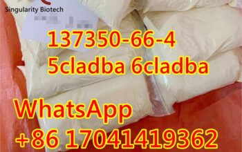 5cl adba 6CL 137350-66-4 White Powder u4