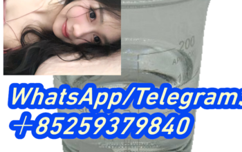 Original Factory BMK CAS 5413-05-8 Ethyl liquid