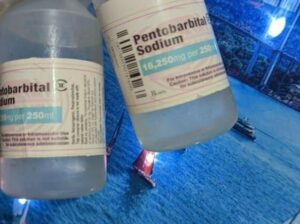 BUY NEMBUTAL ONLINE ,BUY PENTOBARBITAL SODIUM, BUY