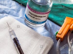 BUY NEMBUTAL ONLINE ,BUY PENTOBARBITAL SODIUM, BUY