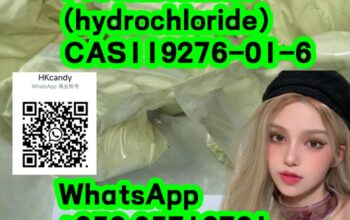  new Protonitazene (hydrochloride) 119276-01-6 