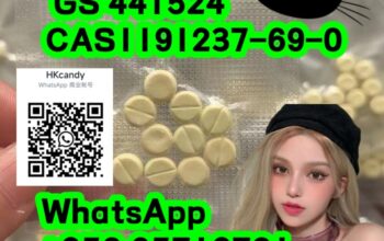 large supply 1191237-69-0 GS 441524