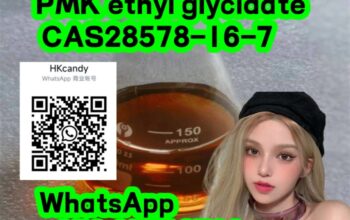 Chinese suppier PMK ethyl glycidate 28578-16-7