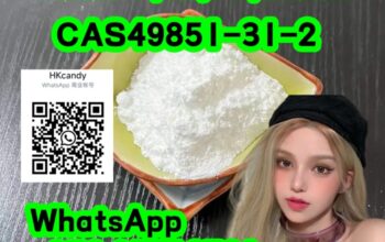 buy 49851-31-2 2-Bromo-1-phenyl-1-pentanone