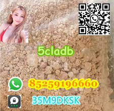 Factory hot selling 5cladb high quality spot