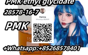 lowest price PMK ethyl glycidate 28578-16-7