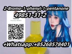 top supplier 49851-31-2 2-Bromo-1-phenyl-1-pentano