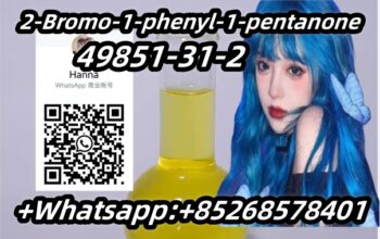top supplier 49851-31-2 2-Bromo-1-phenyl-1-pentano