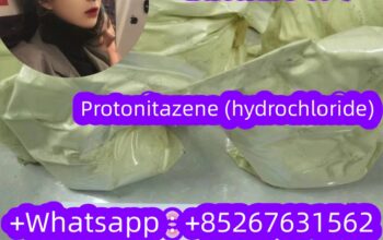 Protonitazene (hydrochloride)CAS119276-01-6 