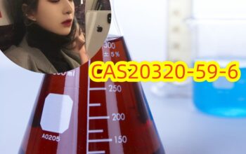 BMKPowder/OilCAS20320-59-6