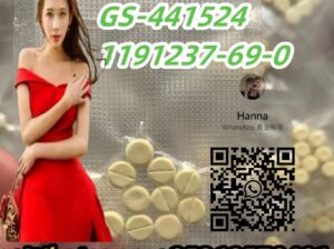 Good Price GS-441524 1191237-69-0
