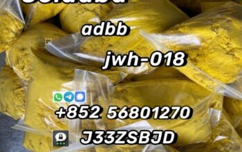 5CL-ADB supplier 5cladba 5cladb vendor on sale now