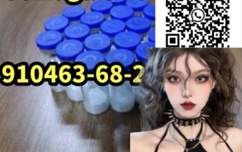 Semaglutide 910463-68-2 hot deals