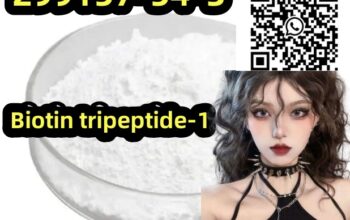 299157-54-3 Biotin tripeptide-1 Hot Selling