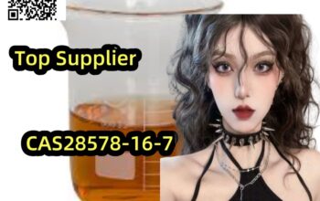 Reliable manufac 28578-16-7 PMK ethyl glycidate