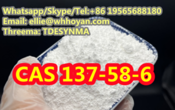 purity Powder CAS 137-58-6 Lidocaine