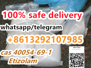 CAS 40054-69-1 Etizolam hotsale in the USA