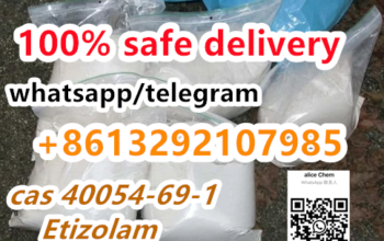 CAS 40054-69-1 Etizolam hotsale in the USA
