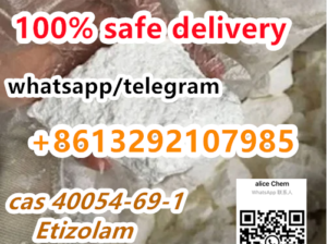 CAS 40054-69-1 Etizolam hotsale in the USA