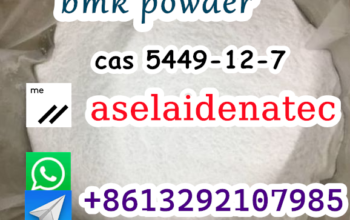 CAS 40054-69-1 Etizolam hotsale in the USA
