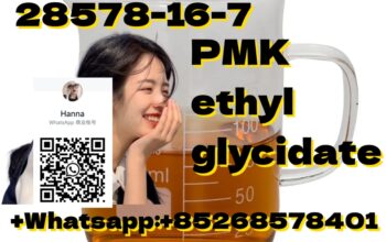 99%high purity PMK ethyl glycidate 28578-16-7