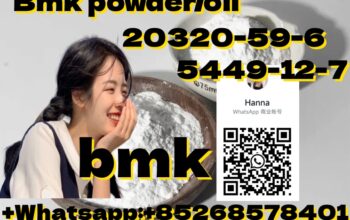 lowest price Bmk powder/oil 20320-59-6 5449-12-7
