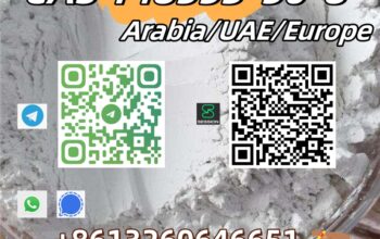 Pregabalin CAS 148553-50-8 best sell with high qua