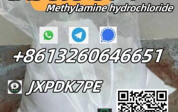 111Adequate stock CAS 593-51-1 safe&fast delivery