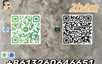 Best sell white powder CAS 1451-82-7 2-bromo-4-met