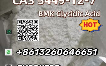 Supply BMK Glycidic Acid CAS 5449-12-7 best sell w