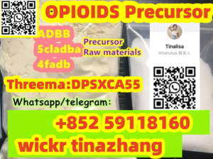 Beit Lahia, Gaza strip