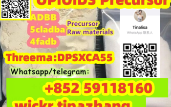 Beit Lahia, Gaza strip