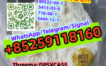 Beit Lahia, Gaza strip