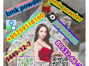 Beit Lahia, Gaza strip