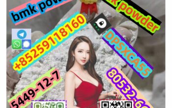 Beit Lahia, Gaza strip