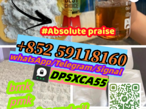 Support Sample BMK Powder Pmk Oil Powder+852591181