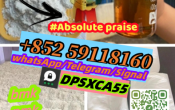 Support Sample BMK Powder Pmk Oil Powder+852591181