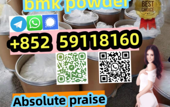 Supply Best Pirce Chemical Product 28578-16-7 BMK