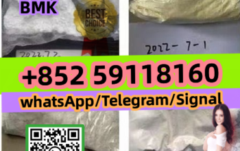 Factory Supply BMK Powder 10250-27-8 Safe Delivery