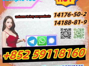 Hot Sell BMK Powder/Pmk Powder 5449-12-7 in Stock+