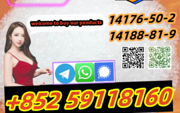 Hot Sell BMK Powder/Pmk Powder 5449-12-7 in Stock+