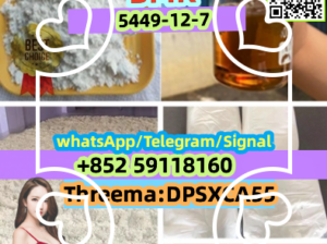 High Quality Pharmaceutical Raw Material with Best