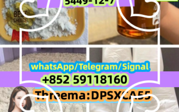 High Quality Pharmaceutical Raw Material with Best