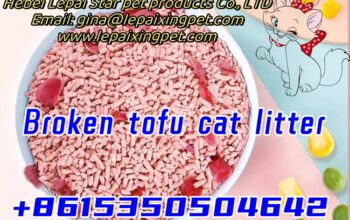 White Tea Light Aroma whatsapp+8615350504642