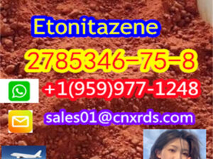 cas:2785346-75-8 Etonitazene